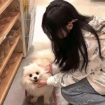 昆仑异闻录游戏